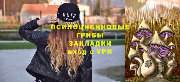 мяу мяу мука Нязепетровск
