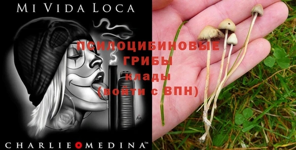 мяу мяу мука Нязепетровск