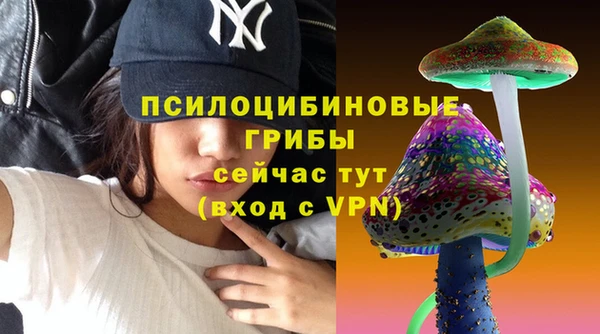 мяу мяу мука Нязепетровск