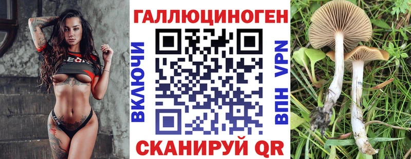 закладка  Светлогорск  гидра онион  Галлюциногенные грибы ЛСД 